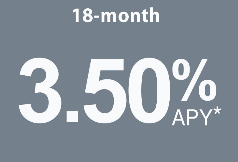 18 month 3.50% apy*