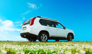 white suv in a field of white wildflowers